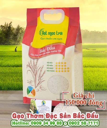 cua hang gao hat ngoc troi bac dau6