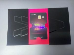 How to apply for LazyPay VISA Prepaid Card?
