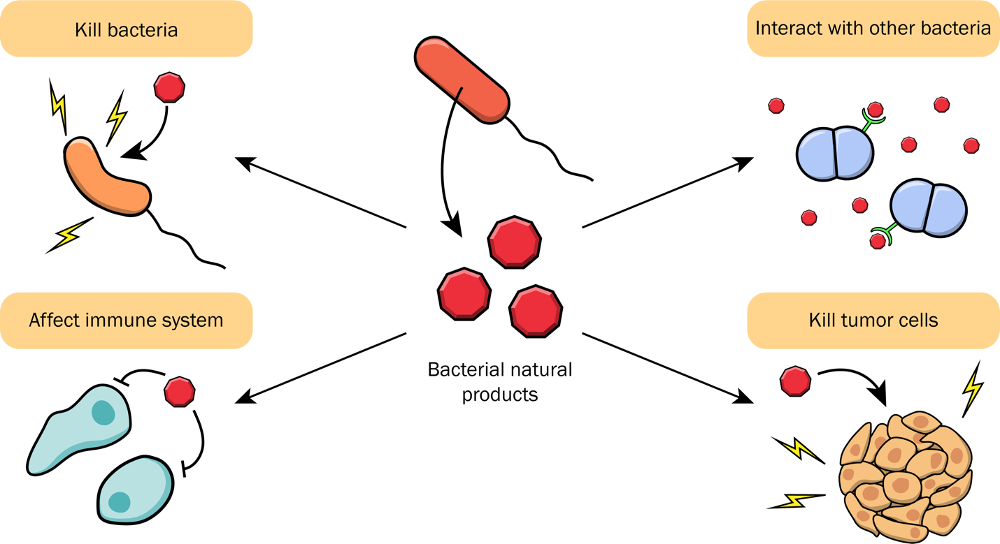 Diagram

Description automatically generated