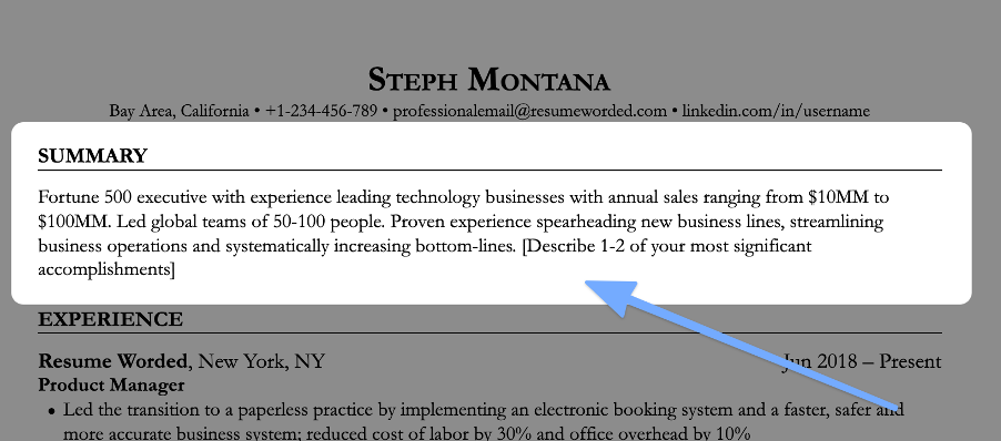 strong opening statement for resume examples