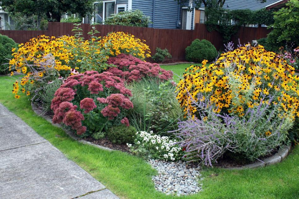 An example of a rain garden