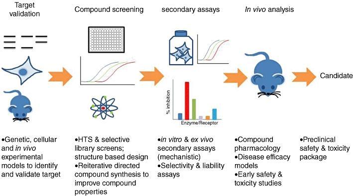 What is an In Vivo Test?