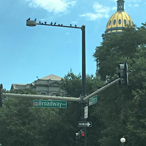 The Colorado capitol building visible over the intersection of two major Denver streets. 