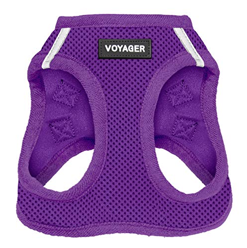a purple dog Harnesses