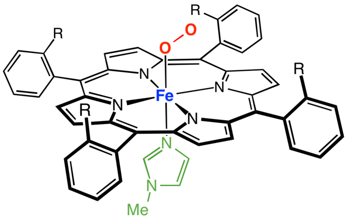 Structure of MyoGlobin
