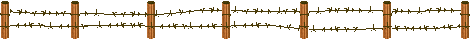 5.gif