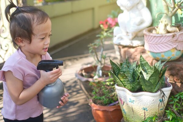 Montessori dạy trẻ kỹ năng thực hành trong cuộc sống 