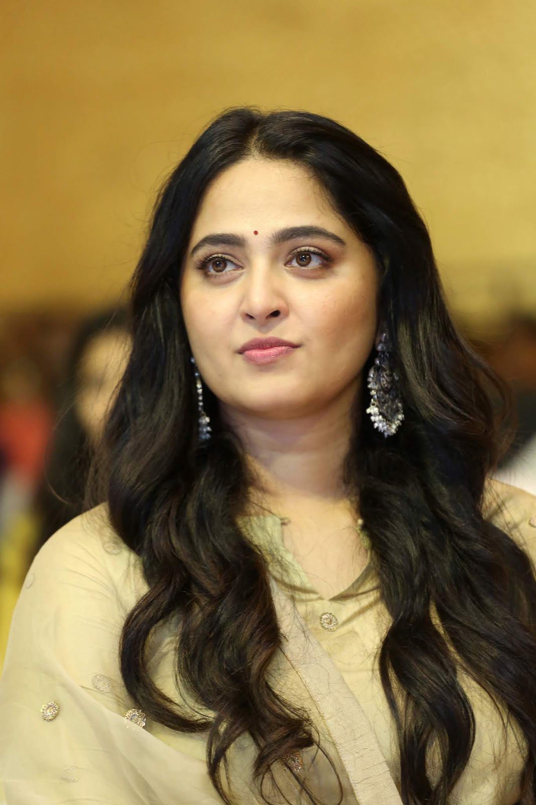 Anushka Shetty Latest Photos At Nishabdham Pre Release March 2020