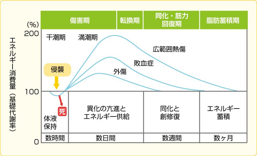 f:id:marriedlife:20180531181139j:plain