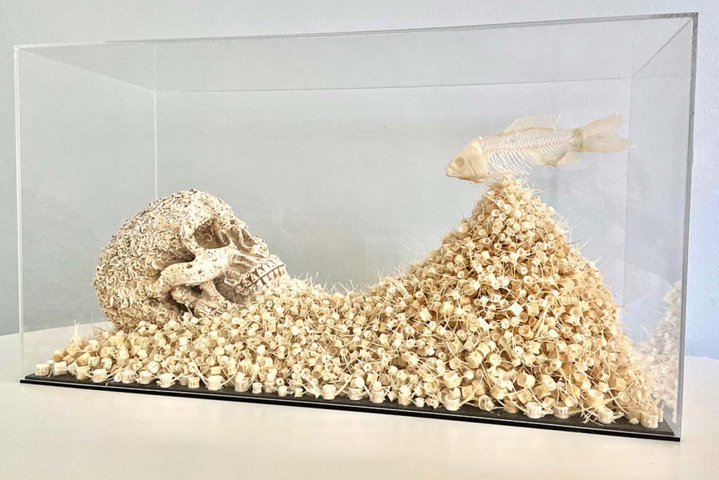 A skull sitting on a pike of fish bones appears, topped with a fish skeleton