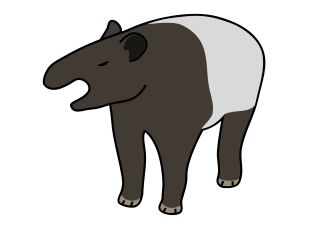 のんびりマイペース マレーバクさん もにゅまる動物記