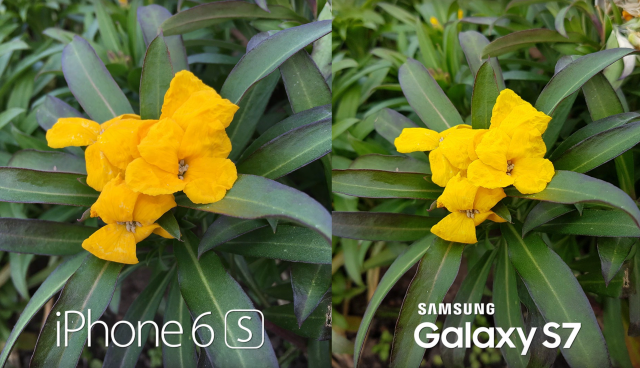 iPhone 6s và Samsung Galaxy S7 Ai hơn ai