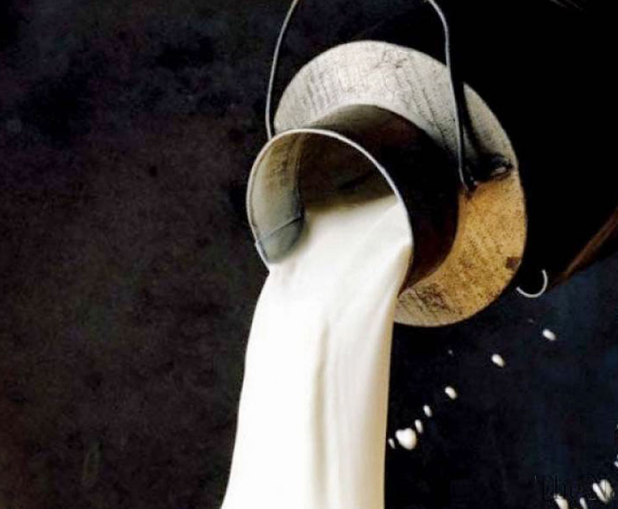 Image result for milk chemical