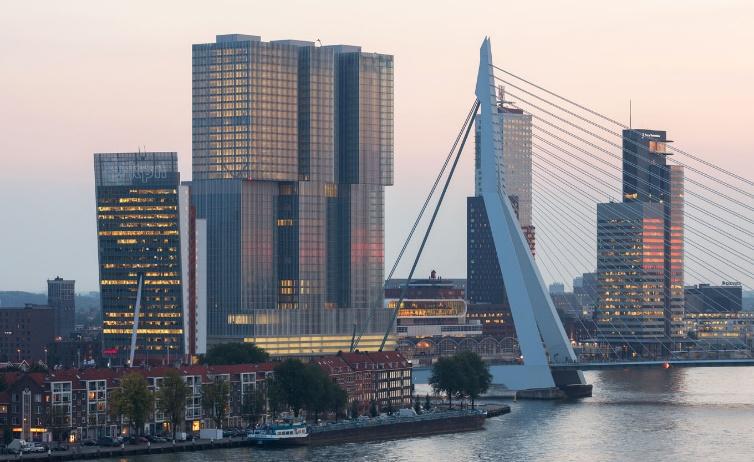 Erasmus Bridge in Rotterdam - Explore the bridge and its environs -  Holland.com