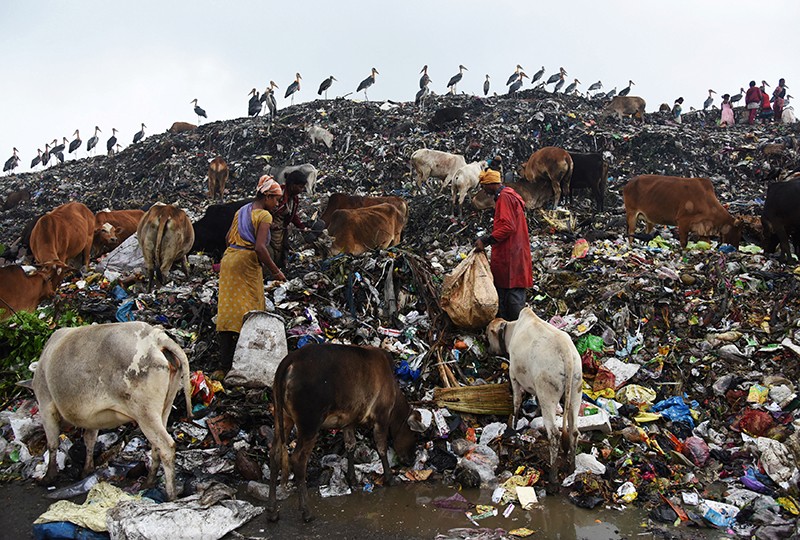 A tour of India's waste mountain