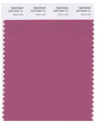 Image result for pantone colour swatch individual