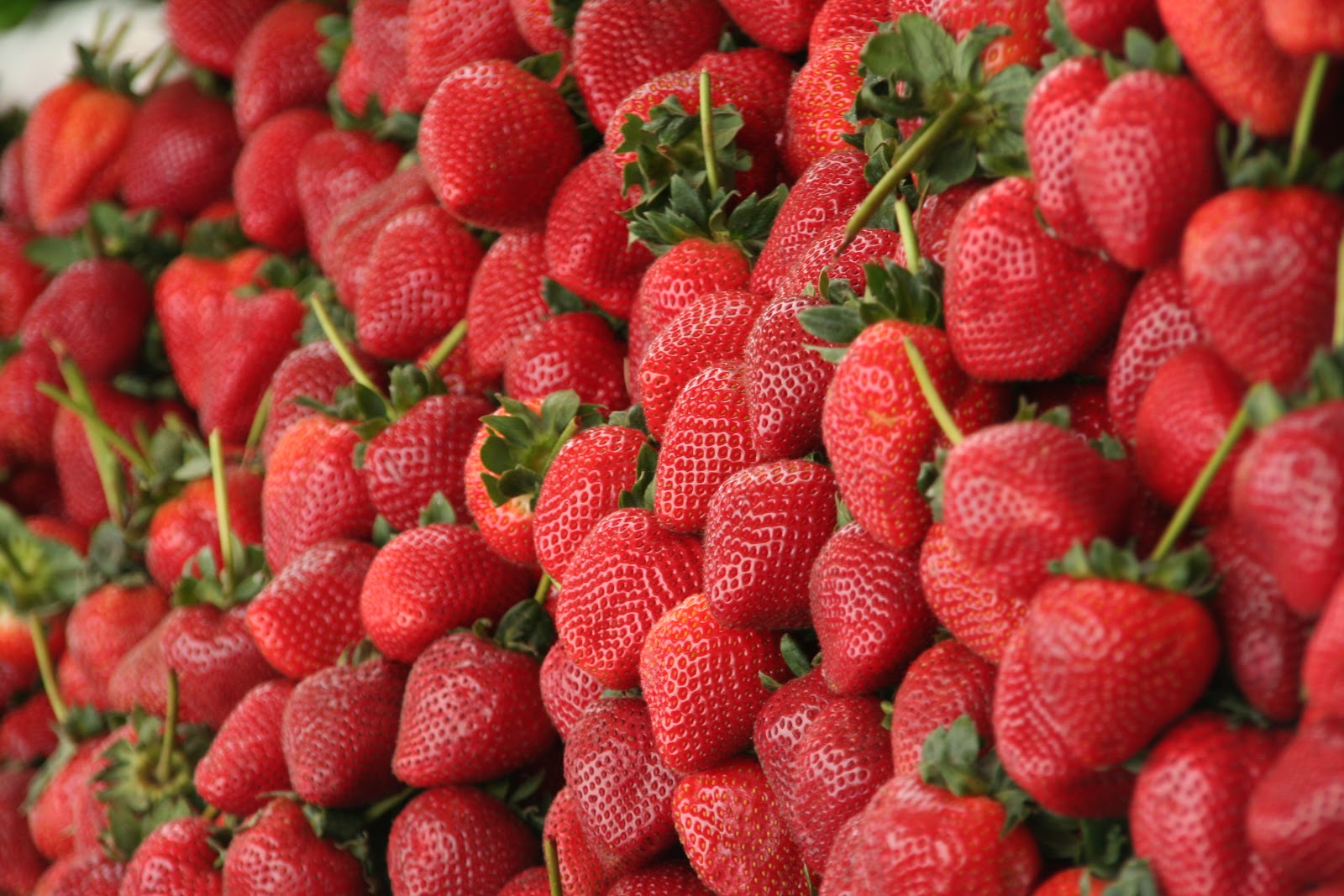 File:Strawberries 1.JPG
