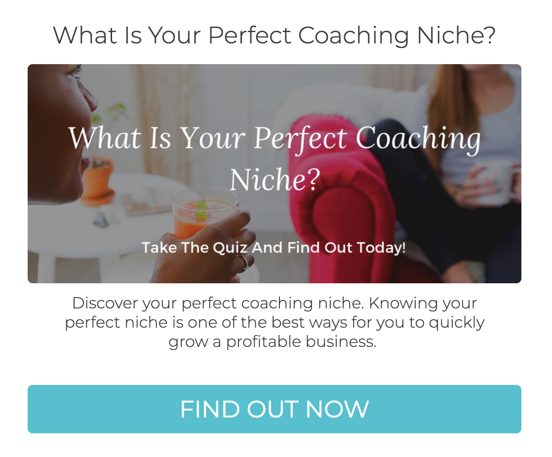 What is your perfect coaching niche quiz cover