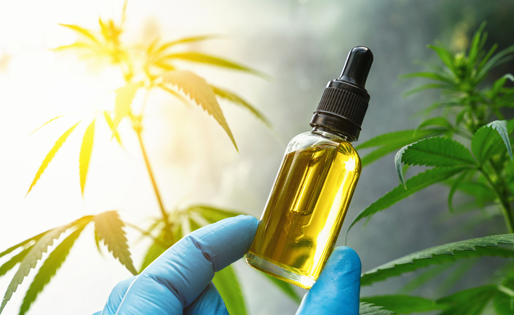 CBD oil - Effect and Areas of Application