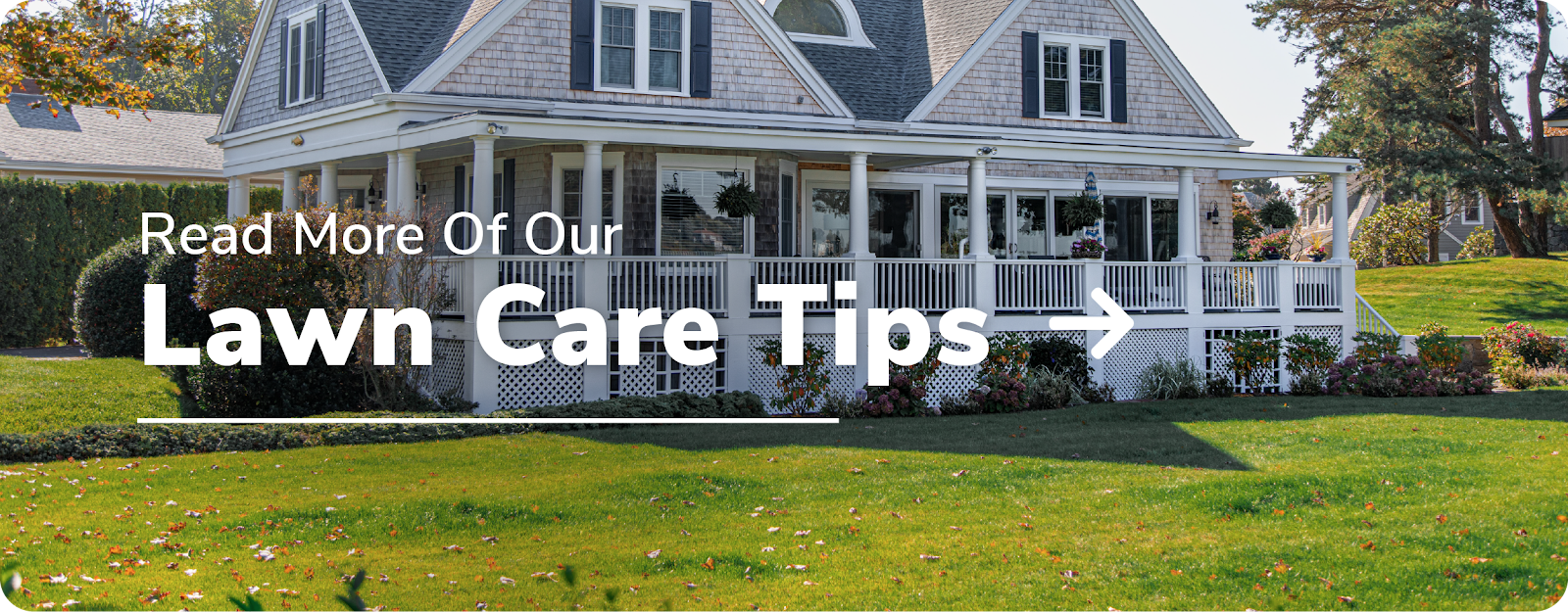 home with nice lawn that says read more of our lawn care tips