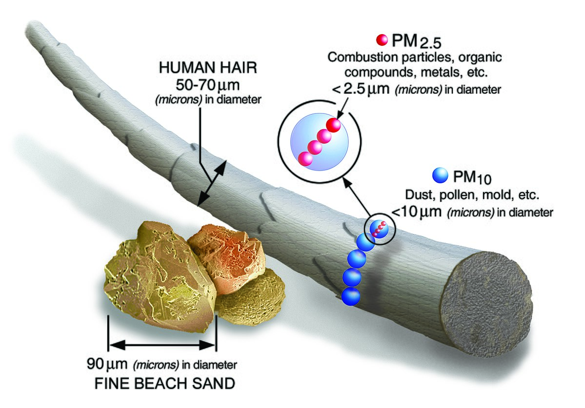 image describing the particulate matter from human hair, pm2.5, pm 10 and fine beach sands 