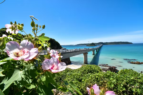 bridge-to-japanese-island-with-flowers-and-blue-water