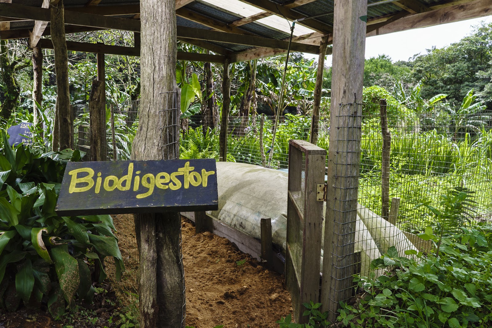 Biodigestor, Monteverde, Community Fund