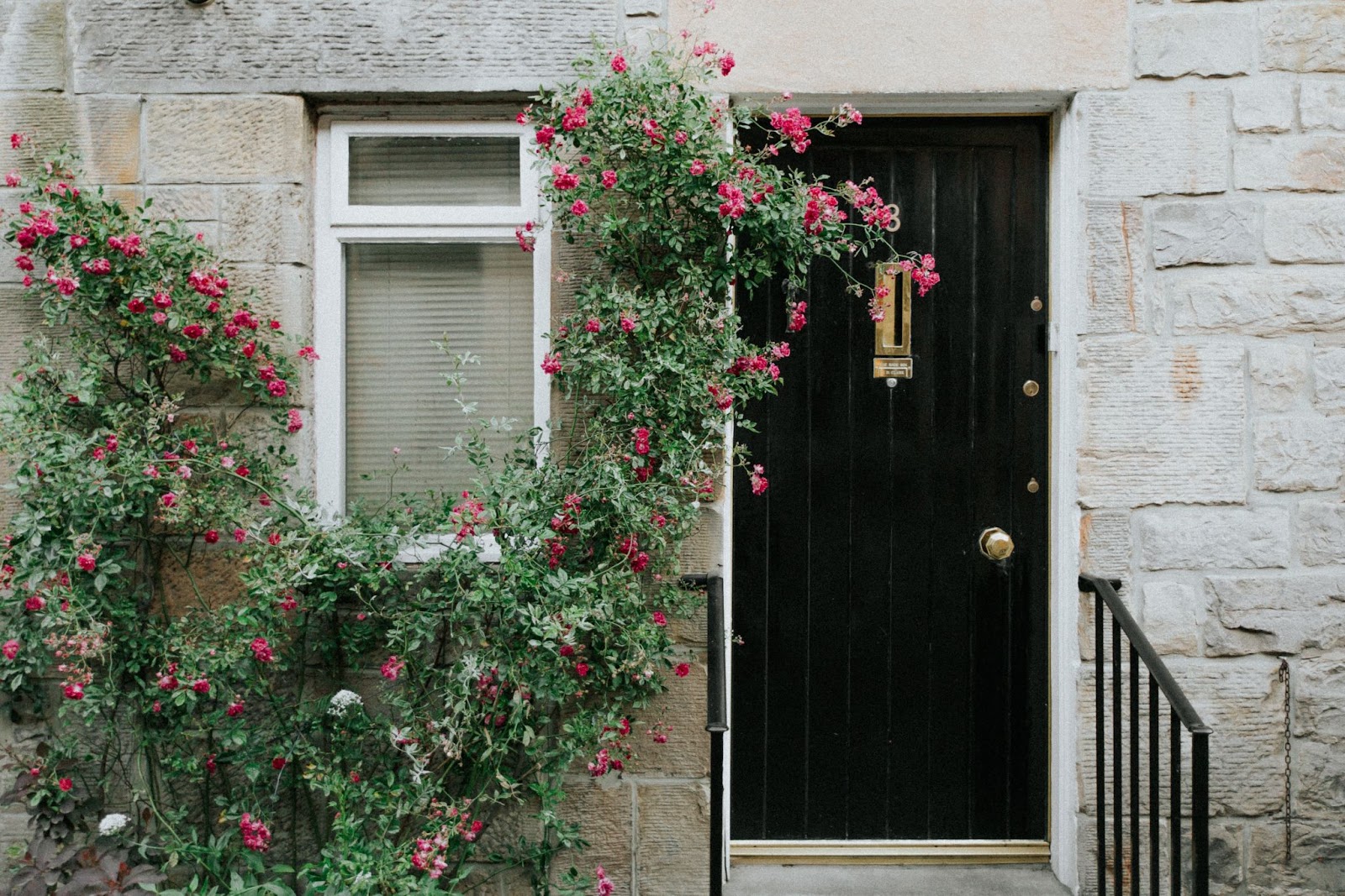 flowering vines on the front door - 
barndominium front door ideas