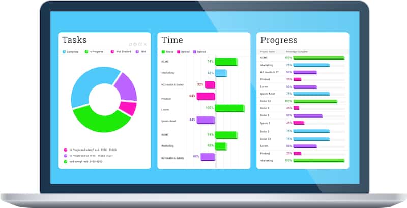 Infografía de software de gestión de proyectos 