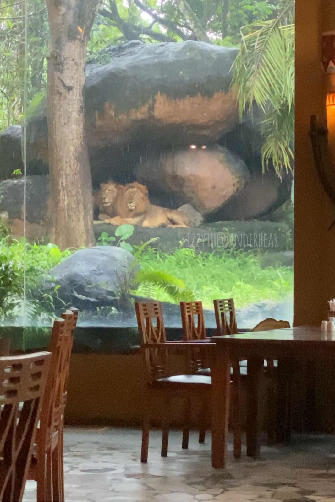 Tsavo Lion Restaurant