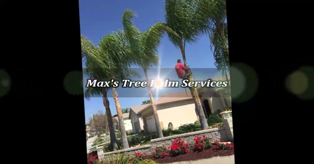 Max's Tree Palm Services.mp4
