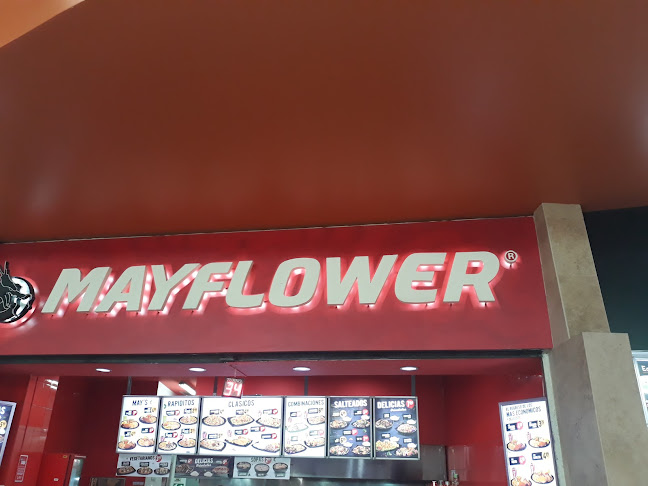 Mayflower - Guayaquil
