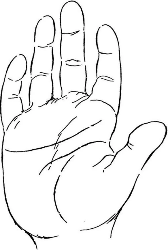 https://lh6.googleusercontent.com/btIwp8iNks4fCy3TvK3uI_IcUna_yW7lZvnkbylic9P7DimLeUTfoZsWrlRO-4pf5Doif-tn9bHXUDI8F6PuDGESkECFrUtbJze4tNv0nj74C93XTaBdNv-SPtY6zMOmz3Jv9yrpoGpJNVXvo3dtBFlVx3igtAmoV9pt7Xnsjl1ciWCNSamAsTOVJPV2Van25QvKrXrm0w