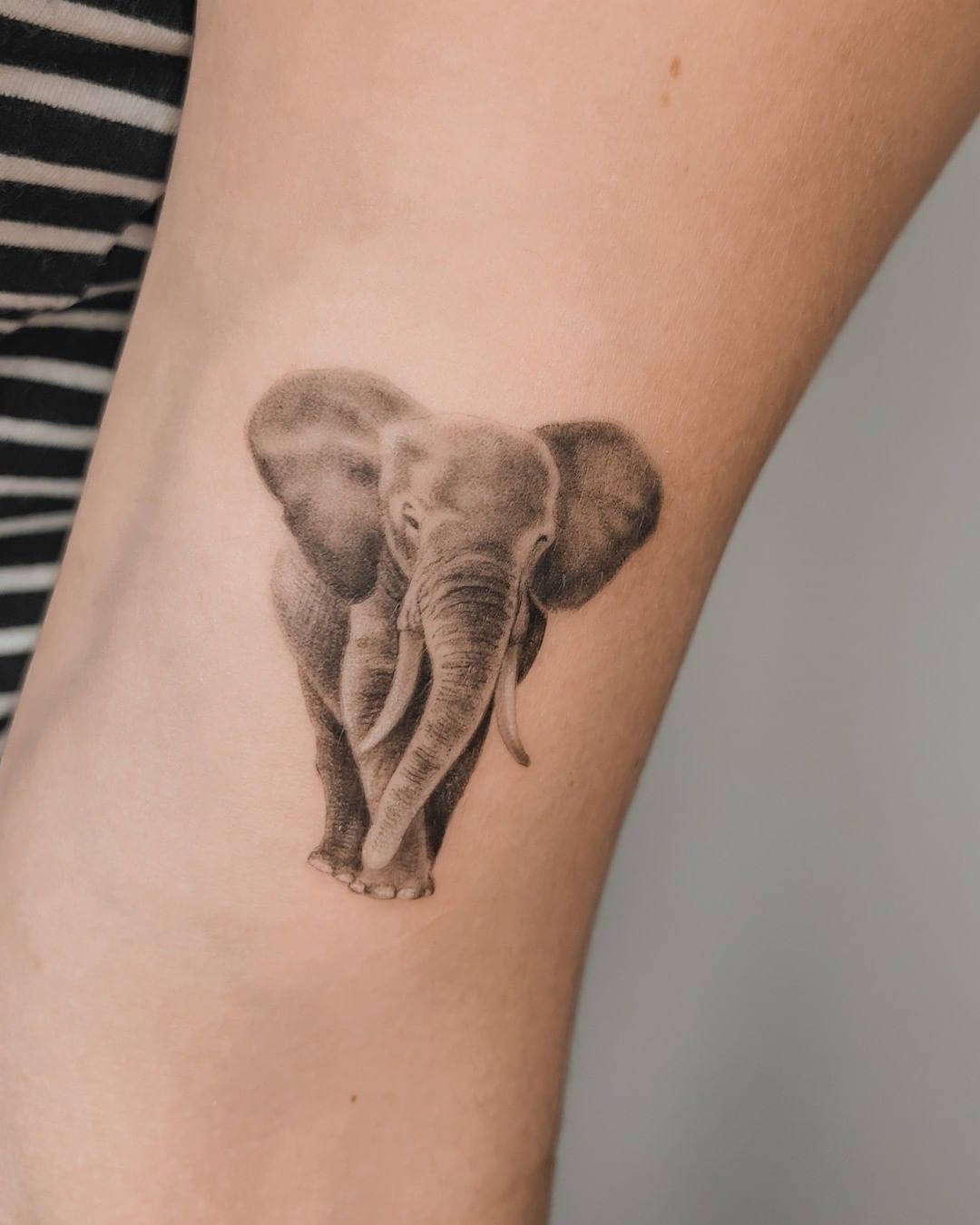 Black Dotwork Elephant Tattoo