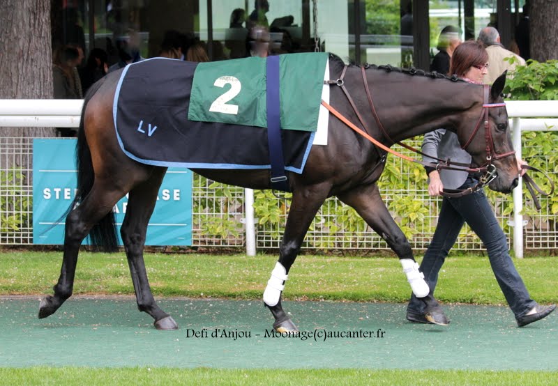 Photos Auteuil 16-05-2015 Week-end printanier de l'obstacle 1PP2S2r1aGpmZ0RFHeGKn29YLwapGG7wrbA2h-iRO5O1=w800-h554-no