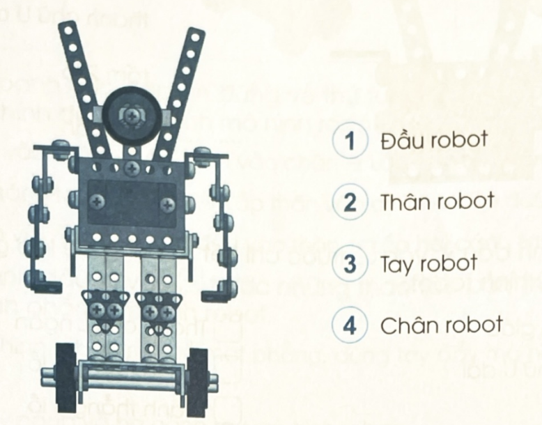 Giải sách bài tập Công nghệ 4 cánh diều bài 10 Lắp ghép mô hình robot ...