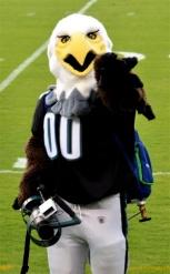 C:\Users\lgalgoci\AppData\Local\Microsoft\Windows\Temporary Internet Files\Content.IE5\S14P6M5Z\1200px-Philadelphia_Eagles_Mascot_Swoop[1].jpg