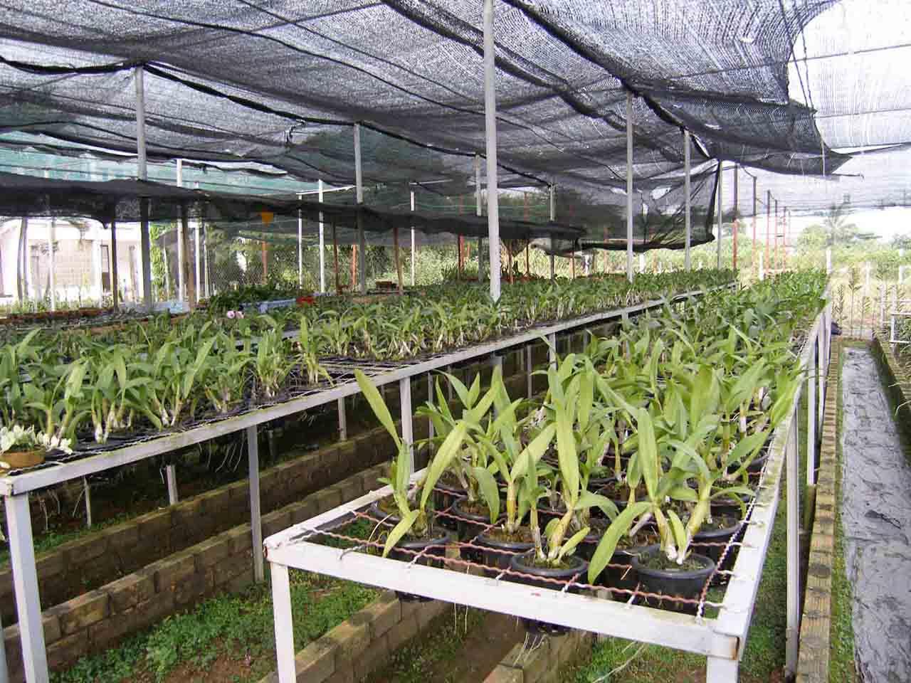 Hình ảnh có liên quan