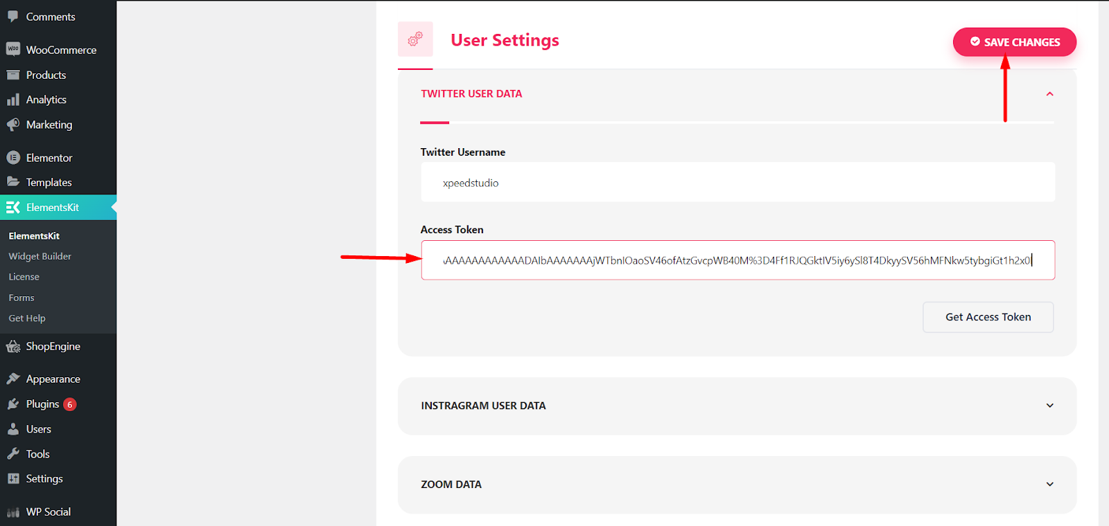Token di accesso e inseriscilo nel campo per aggiungere il feed Twitter al tuo sito WordPress