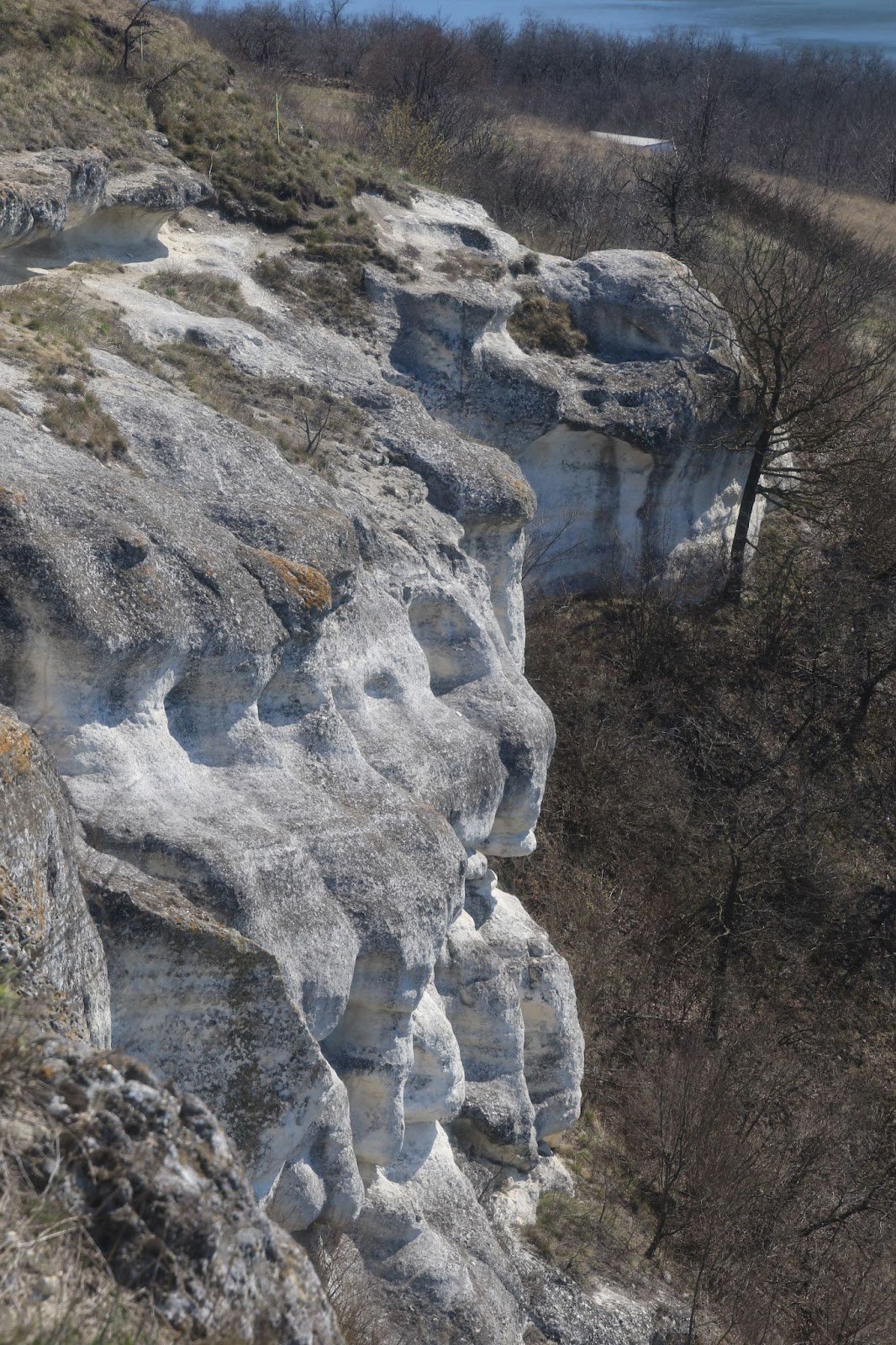 Скелі на березі Дністра. Фото надане автором