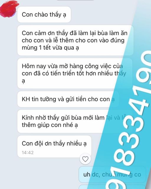 Cây phong thủy theo tuổi và mệnh