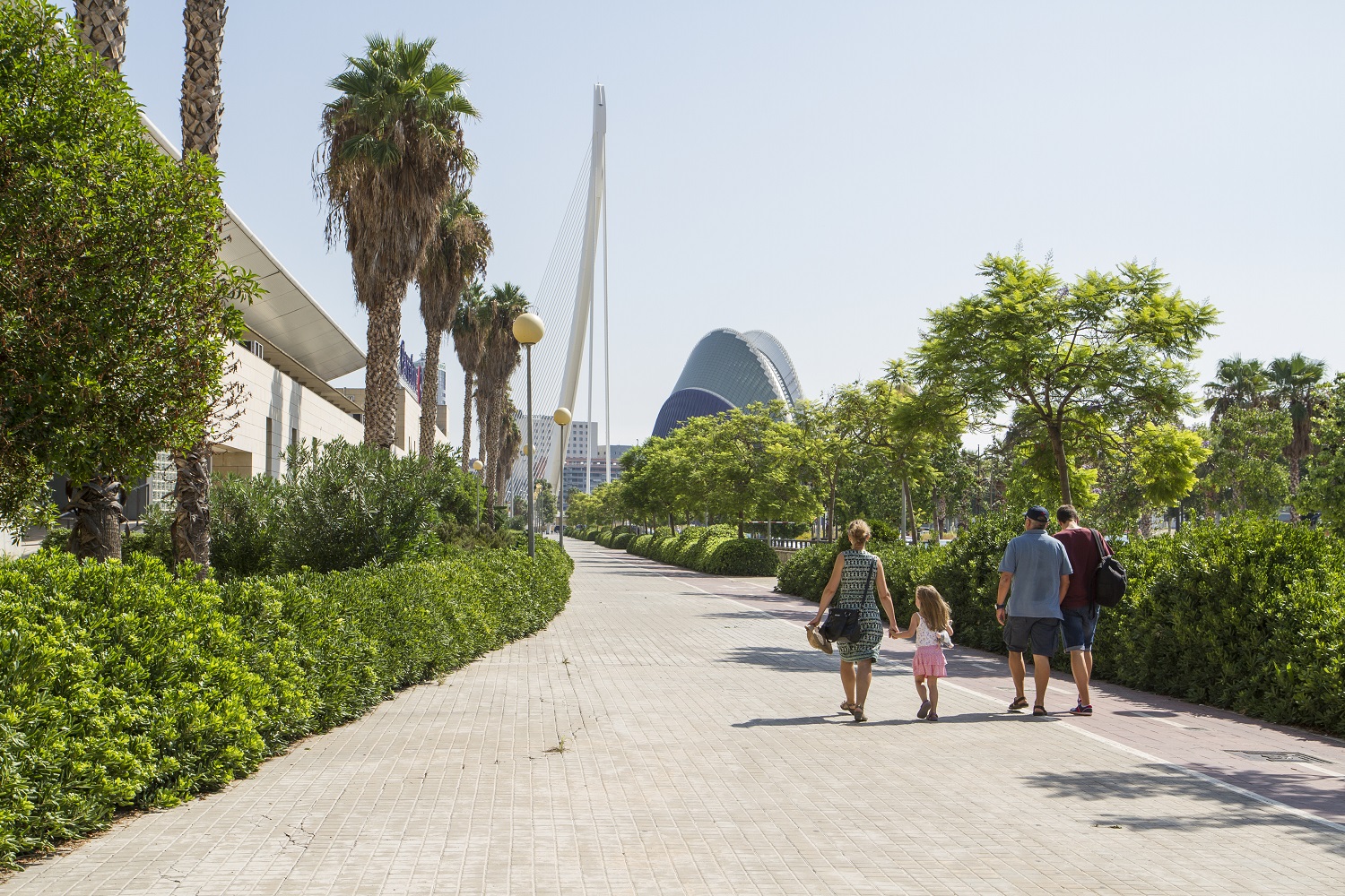 Paseo por la Ciutat de les Arts i les Ciències en Valencia