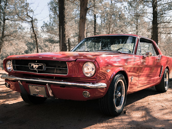 Must-Know Tips to Make Sure You Don't Get Scammed Buying a Classic Car