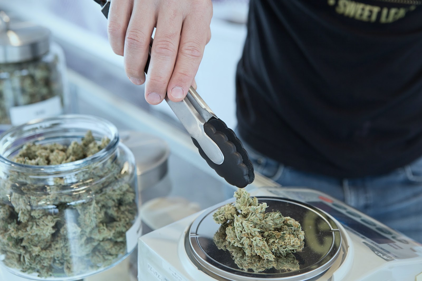Several nugs of cannabis being weighed out by a budtender on a scale