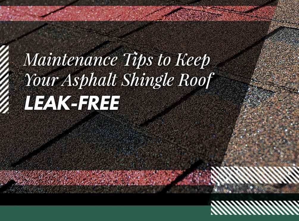 Asphalt Shingle Roof