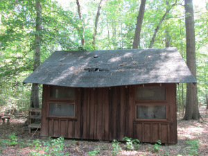 Cabin 7-West Elevation