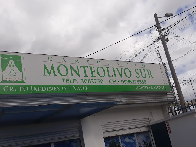 Monteolivo Sur