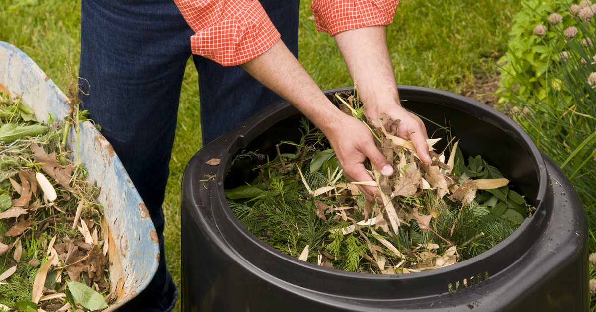 person Composting in a Small Yard