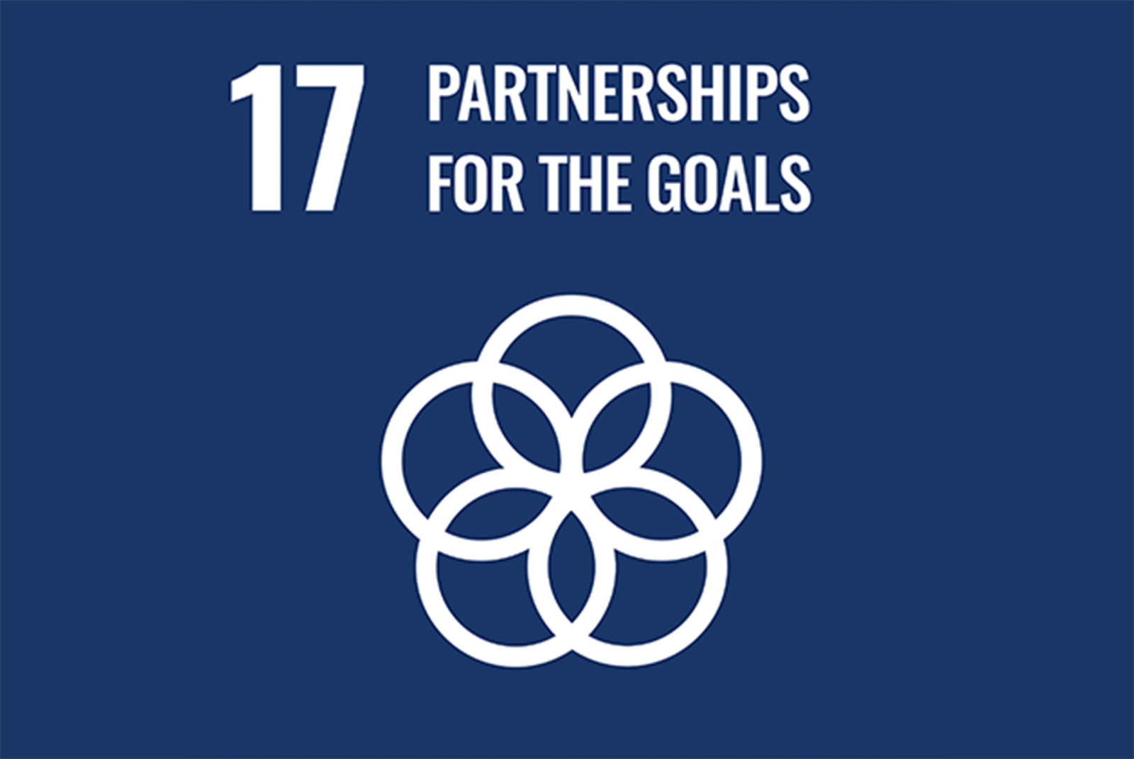 永續設計目標17｜建立多元夥伴關係，協力促進永續願景