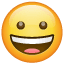 Grinning Face